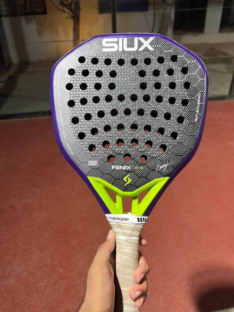 Fenix pro 6