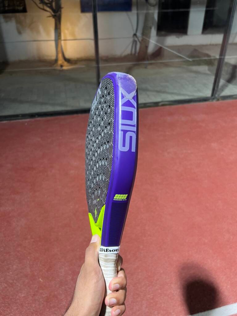 Fenix pro 6